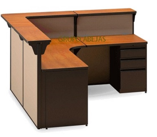 Modulo Recepcion Escuadra Gam 06