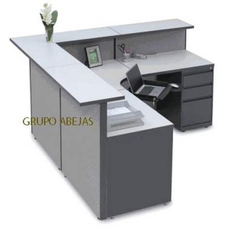 Modulo Recepcion Escuadra Gam 08