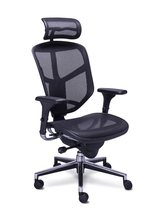 Silla Ejecutiva Ergohuman RM-9001-95-1